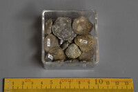 F 01512
<br/>
<br/>
<em></em>